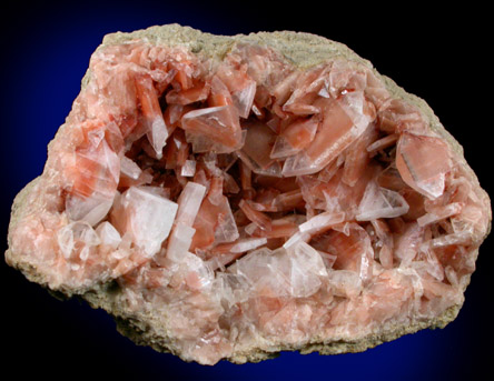 Celestine from Brown County, Texas