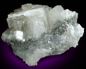 Hydroxyapophyllite-(K) (formerly apophyllite-(KOH)) with Prehnite from Fairfax Quarry, 6.4 km west of Centreville, Fairfax County, Virginia