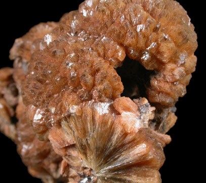 Stilbite pseudomorphs after Anhydrite from Montclair State University parking lot excavation, Essex County, New Jersey