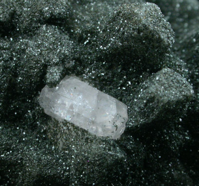 Fluorapatite on Clinochlore and Albite var. Pericline from Warren Bros. Quarry, Acushnet, Bristol County, Massachusetts