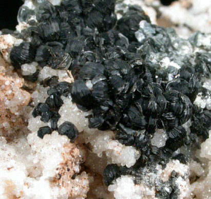 Clinochlore and Grossular Garnet from Jeffrey Mine, Asbestos, Qubec, Canada