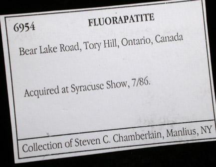 Fluorapatite from Bear Lake, near Tory Hill, Bancroft District, Ontario, Canada