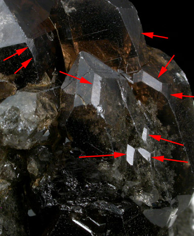 Quartz var. Smoky from Valais, Switzerland