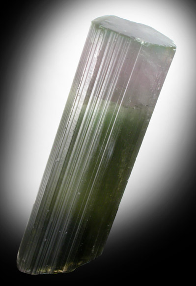 Elbaite Tourmaline from Himalaya Mine, Mesa Grande District, San Diego County, California