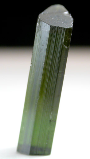 Elbaite Tourmaline from Gillette Quarry, Haddam Neck, Middlesex County, Connecticut