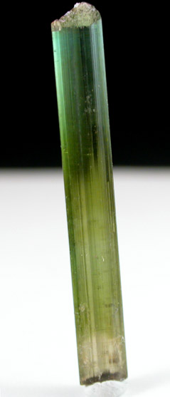 Elbaite Tourmaline from Gillette Quarry, Haddam Neck, Middlesex County, Connecticut