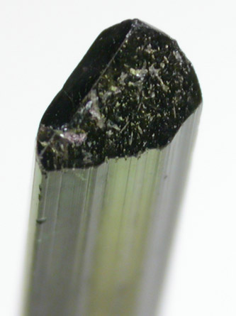 Elbaite Tourmaline from Gillette Quarry, Haddam Neck, Middlesex County, Connecticut