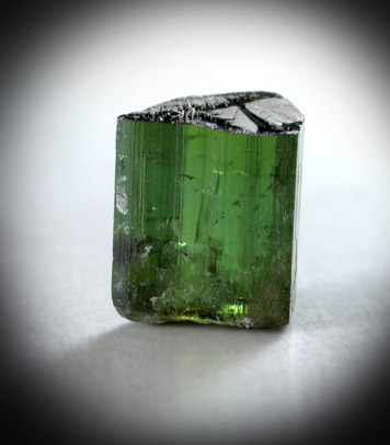 Elbaite Tourmaline from Gillette Quarry, Haddam Neck, Middlesex County, Connecticut