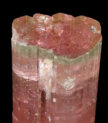 Elbaite var. Rubellite Tourmaline from (Himalaya Mine), Mesa Grande District, San Diego County, California