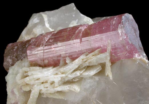 Elbaite Tourmaline on Milky Quartz from Pala District, San Diego County, California