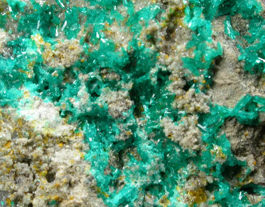 Dioptase, Wulfenite, Willemite from Tiger District, Pinal County, Arizona