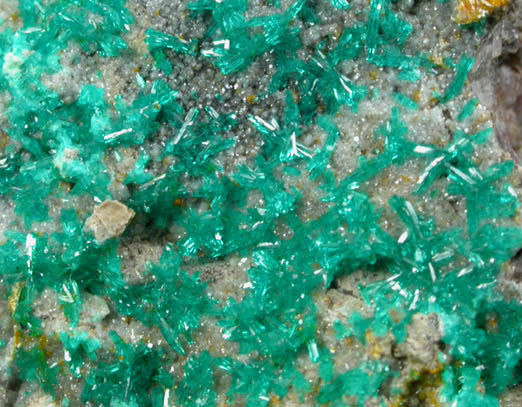 Dioptase, Wulfenite, Willemite from Tiger District, Pinal County, Arizona