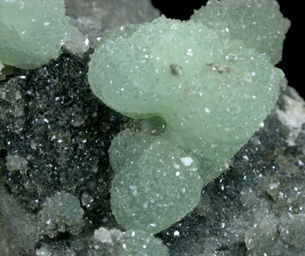Apophyllite on Prehnite from Millington Quarry, Bernards Township, Somerset County, New Jersey