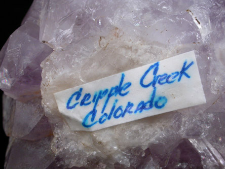 Quartz var. Amethyst from Cripple Creek Mining District, Teller County, Colorado