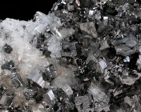 Enargite and Quartz from Butte Mining District, Summit Valley, Silver Bow County, Montana