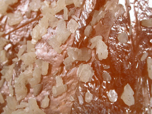 Barite on Calcite from Clay Center, Ottawa County, Ohio