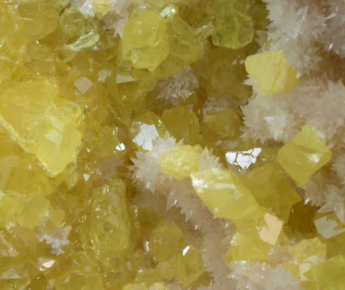 Sulfur on Aragonite from Caltanisetta, Sicily, Italy