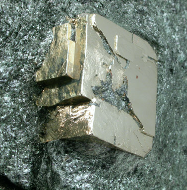 Pyrite in Chlorite schist from Chester, Windsor County, Vermont