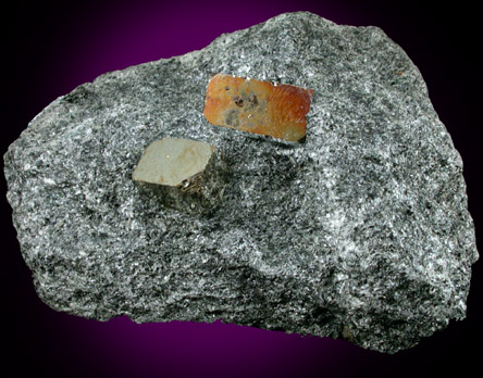 Pyrite in Chlorite schist from Chester, Windsor County, Vermont