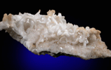 Aragonite var. Flos Ferri from Eisenerz, Styria, Austria