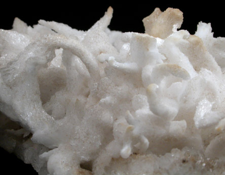 Aragonite var. Flos Ferri from Eisenerz, Styria, Austria