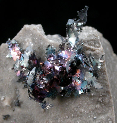 Silver var. Kongsbergite with Chlorargyrite from Roza de Danta Matilde, Herrerias, Almeria, Spain