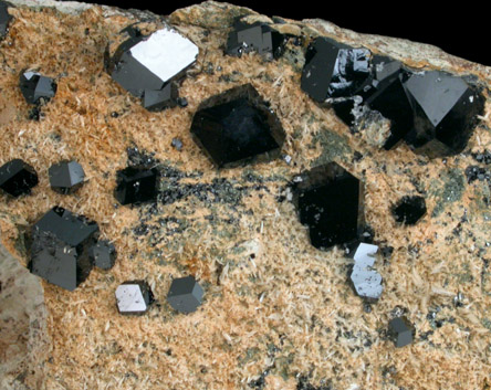 Andradite var. Melanite Garnet from New Idria District, San Benito County, California