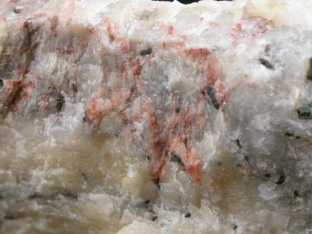 Leucophanite, Catapleiite, Hornblende from Laven Island, Langesundsfjord, Vestfold, Norway (Type Locality for Leucophanite and Catapleiite)