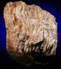 Quartz var. Petrified Palmroot from Denver Plains, Denver County, Colorado
