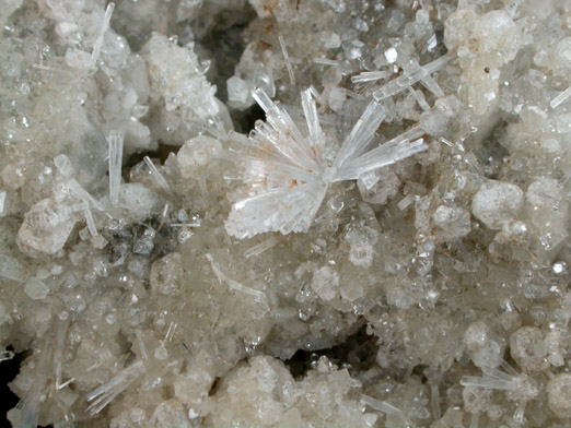 Apophyllite, Natrolite, Calcite, Stilpnomelane from Bergen Hill, Hudson County, New Jersey