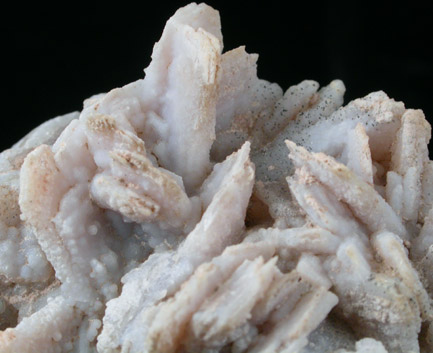 Quartz pseudomorphs after Barite from 32 km east of Hot Springs Resort, Central, Graham County, Arizona