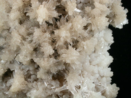 Aragonite over Calcite from Limpopo Province (formerly Transvaal), South Africa