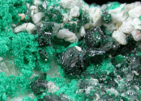 Natrochalcite with Atacamite from Mina Chuqui, Chuquicamata, Antofagasta, Chile (Type Locality for Natrochalcite with Atacamite)