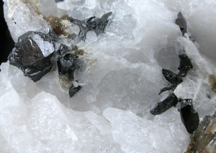 Titanowodginite from Tanco Pegmatite, Bernic Lake, Manitoba, Canada (Type Locality for Titanowodginite)