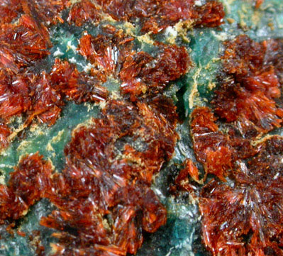 Amarantite, Chalcanthite, Jarosite from Mina Quetana, Sierra Gorda, Antofagasta, Chile