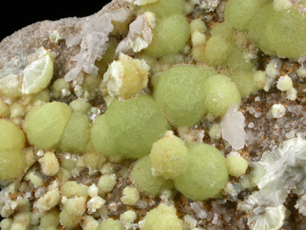 Wavellite from National Limestone Quarry, Lime Ridge, Mount Pleasant Mills, Snyder County, Pennsylvania