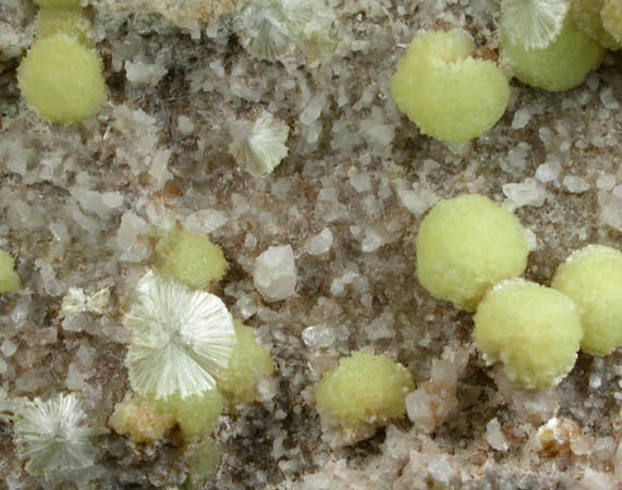 Wavellite with Calcite from National Limestone Quarry, Lime Ridge, Mount Pleasant Mills, Snyder County, Pennsylvania