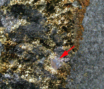 Arsenohauchecornite and Chalcopyrite from Vermillion Mine, Denison Township, Sudbury District, Ontario, Canada (Type Locality for Arsenohauchecornite)