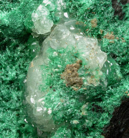 Malachite and Calcite on Cuprite from Inca de Oro, north of Copiapo, Chile