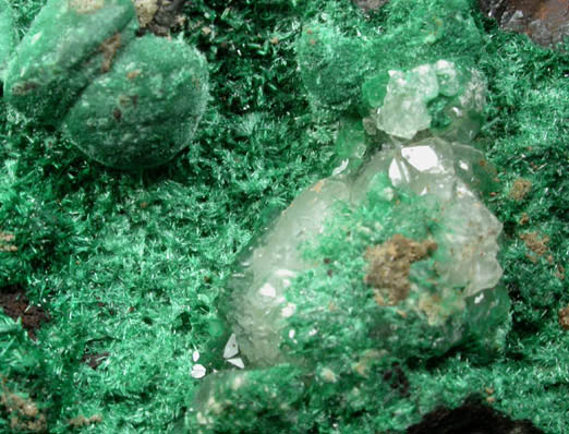 Malachite and Calcite on Cuprite from Inca de Oro, north of Copiapo, Chile