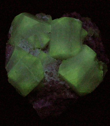 Apophyllite from New Street Quarry, Paterson, Passaic County, New Jersey