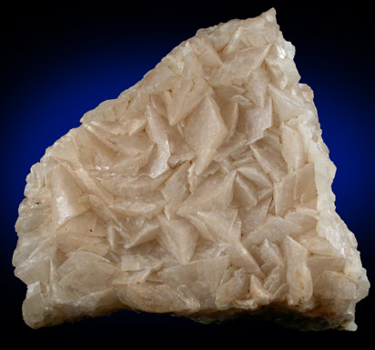 Dolomite from Point Vicente, Palos Verdes Hills, Los Angeles County, California