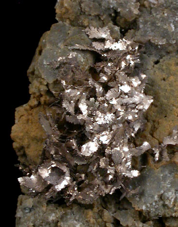 Silver var. Kongsbergite with Chlorargyrite from Roza de Danta Matilde, Herrerias, Almeria, Spain