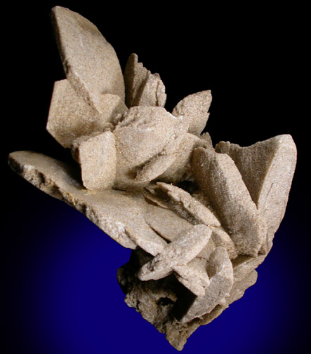 Gypsum var. Desert Rose from Sonora, Mexico