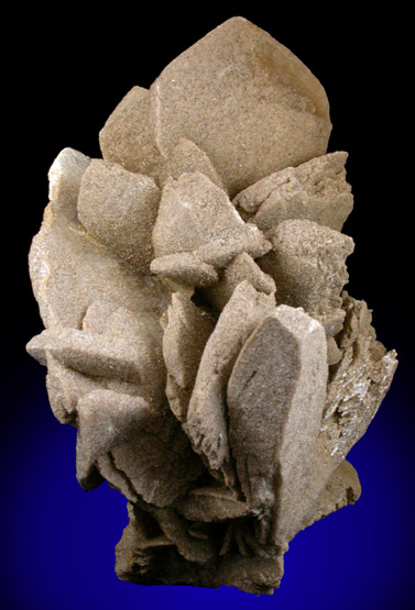 Gypsum var. Desert Rose from Sonora, Mexico