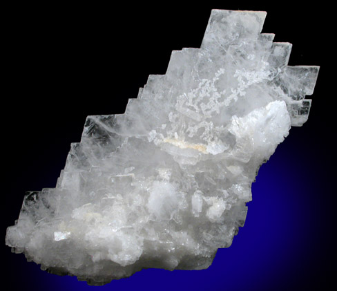 Celestine from Melchor Muzquiz, Coahuila, Mexico