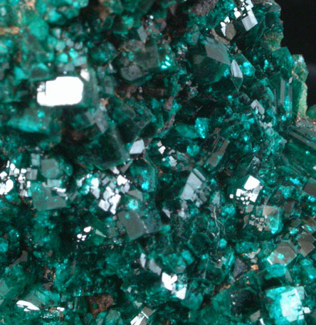 Dioptase from Tantara, 26 WSW of Likasi, Katanga Copperbelt, Haut-Katanga Province, Democratic Republic of the Congo