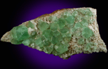 Fluorite on Quartz from William Wise Mine, Westmoreland, Cheshire County, New Hampshire