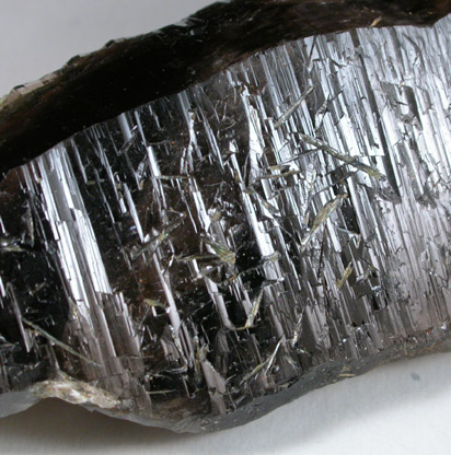 Quartz var. Smoky with Diopside inclusions from Pipestone District, Jefferson County, Montana