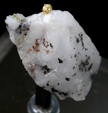 Gold on Quartz from Harvard Mine, Jamestown District, Tuolumne County, California